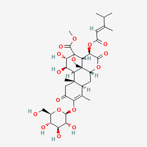 molecular formula C34H46O16 B1233333 methyl (1R,2S,3R,6R,8R,13S,14R,15R,16S)-3-[(E)-3,4-dimethylpent-2-enoyl]oxy-15,16-dihydroxy-9,13-dimethyl-4,11-dioxo-10-[(2S,3R,4S,5S,6R)-3,4,5-trihydroxy-6-(hydroxymethyl)oxan-2-yl]oxy-5,18-dioxapentacyclo[12.5.0.01,6.02,17.08,13]nonadec-9-ene-17-carboxylate 