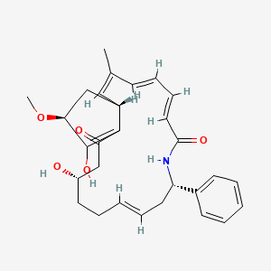 molecular formula C29H35NO5 B1233334 (1R,2Z,4E,6E,10S,12E,16S,21S)-16,20-dihydroxy-21-methoxy-3-methyl-10-phenyl-9-azabicyclo[17.3.0]docosa-2,4,6,12,19-pentaene-8,18-dione 