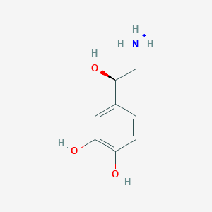 molecular formula C8H12NO3+ B1233345 (2R)-2-(3,4-dihydroxyphenyl)-2-hydroxyethanaminium 