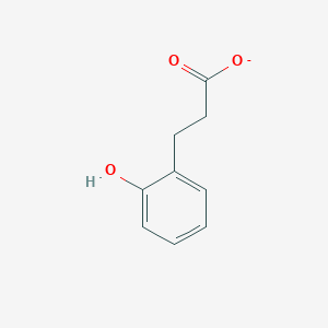 molecular formula C9H9O3- B1233346 3-(2-羟基苯基)丙酸酯 