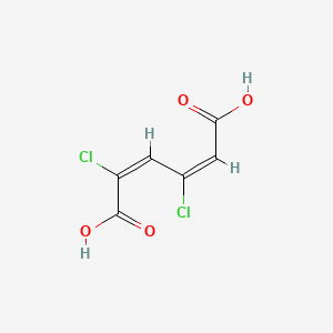 molecular formula C6H4Cl2O4 B1233355 2,4-二氯-顺，顺-粘康酸 CAS No. 22752-97-2