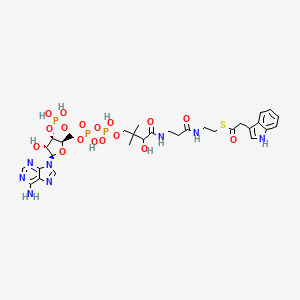 molecular formula C31H43N8O17P3S B1233379 S-2-(indol-3-yl)acetyl-CoA 