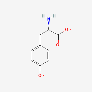 molecular formula C9H9NO3-2 B1233381 L-tyrosinate(2-) 