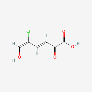 2-Hydroxy-5-chloromuconic acid semialdehyde