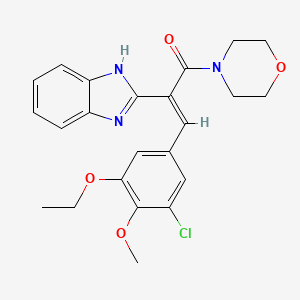 (E)-2-(1H-benzimidazol-2-yl)-3-(3-chloro-5-ethoxy-4-methoxyphenyl)-1-morpholin-4-ylprop-2-en-1-one