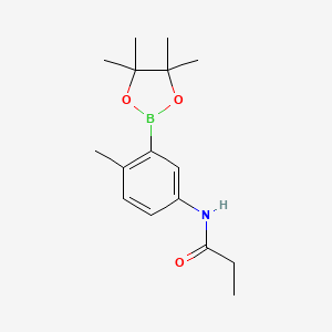 molecular formula C16H24BNO3 B12334294 N-[4-methyl-3-(4,4,5,5-tetramethyl-1,3,2-dioxaborolan-2-yl)phenyl]Propanamide 