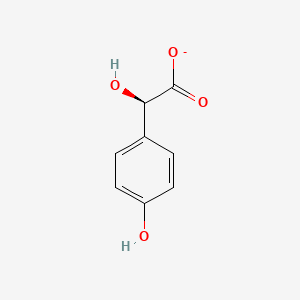 molecular formula C8H7O4- B1233475 (R)-4-羟基扁桃酸 