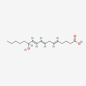 molecular formula C17H28O3 B1233524 12-Hydroxy-5,8,10-heptadecatrienoic acid CAS No. 50683-78-8