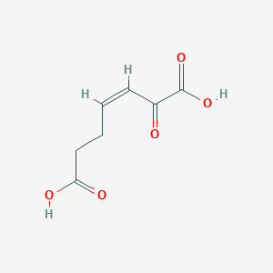 molecular formula C7H8O5 B1233561 cis-2-Oxohept-3-enedioic acid 