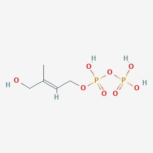 molecular formula C5H12O8P2 B1233566 (2E)-4-hydroxy-3-methylbut-2-en-1-yl trihydrogen diphosphate 