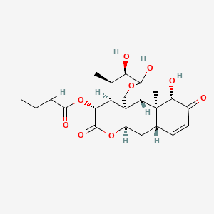 molecular formula C25H34O9 B1233686 [(1S,5R,6R,7S,8R,11R,13S,17S,18S,19R)-4,5,17-trihydroxy-6,14,18-trimethyl-9,16-dioxo-3,10-dioxapentacyclo[9.8.0.01,7.04,19.013,18]nonadec-14-en-8-yl] 2-methylbutanoate 