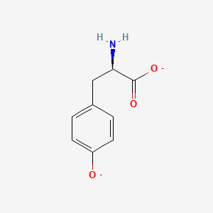 molecular formula C9H9NO3-2 B1233694 D-酪氨酸酸根(2-) 