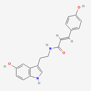 molecular formula C19H18N2O3 B1233787 N-香豆酰血清素 CAS No. 201301-83-9