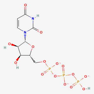 molecular formula C9H12N2O15P3-3 B1233822 UTP trianion 
