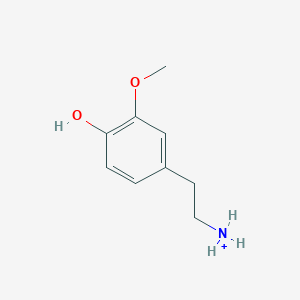 molecular formula C9H14NO2+ B1233829 Methoxytyramine 