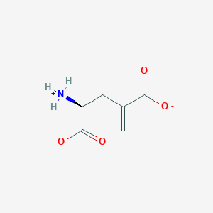 molecular formula C6H8NO4- B1233865 4-Methylene-L-glutamate 