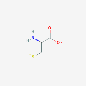 molecular formula C3H5NO2S-2 B1233901 L-cysteinate(2-) 