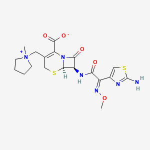 molecular formula C19H24N6O5S2 B1233904 头孢匹姆，E- CAS No. 149261-27-8