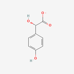 molecular formula C8H7O4- B1233924 (S)-4-羟基扁桃酸 