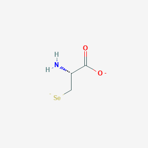 molecular formula C3H5NO2Se-2 B1233928 L-selenocysteinate(2-) 