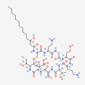 molecular formula C48H82ClN11O18 B1233967 丁香毒素 B CAS No. 65547-14-0