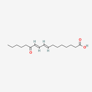 molecular formula C17H28O3 B1233974 12-Oxo-8,10-heptadecadienoic acid CAS No. 83711-68-6