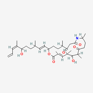 molecular formula C34H53NO7 B1234096 Angiolam A CAS No. 99267-41-1