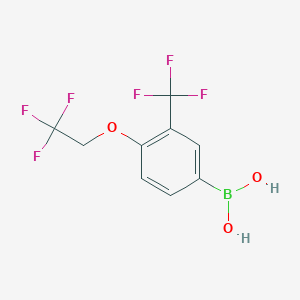 molecular formula C9H7BF6O3 B12341005 B-[4-(2,2,2-Trifluoroethoxy)-3-(trifluoromethyl)phenyl]boronic acid 