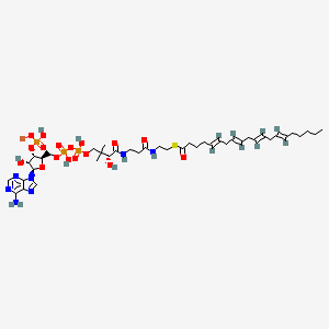 molecular formula C41H65LiN7O17P3S B12341049 Arachidonoyl coenzyme A lithium salt 