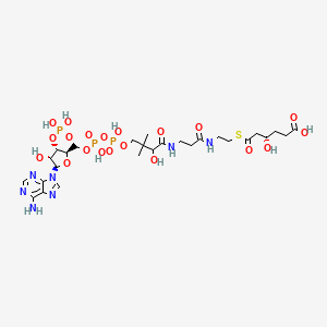 (4S)-6-[2-[3-[[4-[[[(2R,3S,4R,5R)-5-(6-aminopurin-9-yl)-4-hydroxy-3-phosphonooxyoxolan-2-yl]methoxy-hydroxyphosphoryl]oxy-hydroxyphosphoryl]oxy-2-hydroxy-3,3-dimethylbutanoyl]amino]propanoylamino]ethylsulfanyl]-4-hydroxy-6-oxohexanoic acid