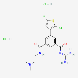 molecular formula C17H21Cl4N5O2S B1234183 3-N-(diaminomethylidene)-5-(2,5-dichlorothiophen-3-yl)-1-N-[2-(dimethylamino)ethyl]benzene-1,3-dicarboxamide;dihydrochloride CAS No. 239440-20-1