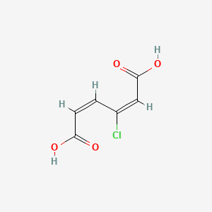 molecular formula C6H5ClO4 B1234192 3-氯-顺式、顺式-粘康酸 CAS No. 22752-96-1