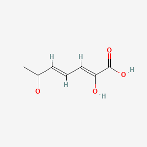 molecular formula C7H8O4 B1234218 2,4-Heptadienoic acid, 2-hydroxy-6-oxo- CAS No. 7244-95-3