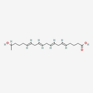 molecular formula C20H32O3 B1234253 19-Hydroxy-5,8,11,14-eicosatetraenoic acid CAS No. 79551-85-2