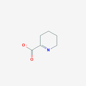 molecular formula C6H8NO2- B1234270 1-Piperideine-2-carboxylate 