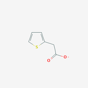 molecular formula C6H5O2S- B1234272 噻吩-2-乙酸酯 