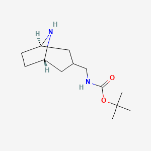 molecular formula C13H24N2O2 B12342925 tert-butyl N-[[(1S,5R)-8-azabicyclo[3.2.1]octan-3-yl]methyl]carbamate 