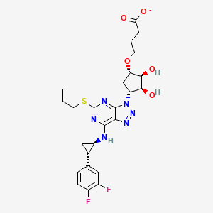 4-[(1S,2S,3S,4R)-4-[7-[[(1R,2S)-2-(3,4-difluorophenyl)cyclopropyl]amino]-5-propylsulfanyltriazolo[4,5-d]pyrimidin-3-yl]-2,3-dihydroxycyclopentyl]oxybutanoate