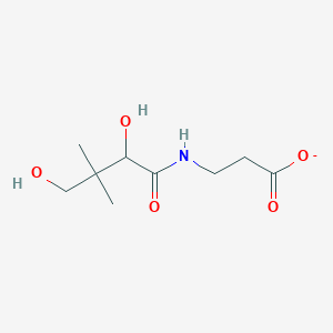 molecular formula C9H16NO5- B1234462 3-(2,4-二羟基-3,3-二甲基丁酰胺基)丙酸酯 