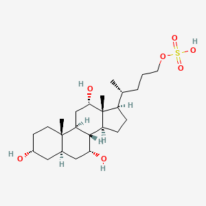 molecular formula C24H42O7S B1234464 七鳃鳗醇硫酸盐 CAS No. 20311-93-7