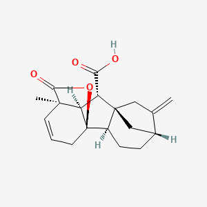 molecular formula C19H22O4 B1234473 2,3-Didehydro-gibberellin A9 