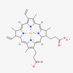 molecular formula C34H37FeN4O4- B12344856 3-[(4Z,10Z,15Z,19Z)-18-(2-carboxylatoethyl)-8,13-bis(ethenyl)-3,7,12,17-tetramethyl-1,2,3,12,13,14-hexahydroporphyrin-21,22,23,24-tetraid-2-yl]propanoate;hydron;iron(4+) 