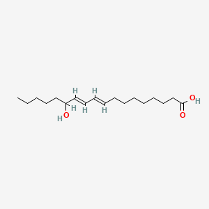 molecular formula C18H32O3 B1234554 13-羟基-9,11-八十二二烯酸 CAS No. 5204-88-6