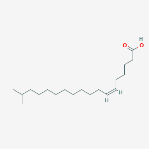 molecular formula C19H36O2 B1234675 17-Methyl-6Z-octadecenoic acid 