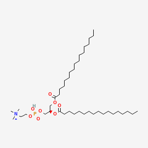 Diheptadecanoylphosphatidylcholine