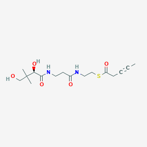 molecular formula C16H26N2O5S B1234697 S-[2-[3-[[(2R)-2,4-dihydroxy-3,3-dimethylbutanoyl]amino]propanoylamino]ethyl] pent-3-ynethioate CAS No. 50304-43-3