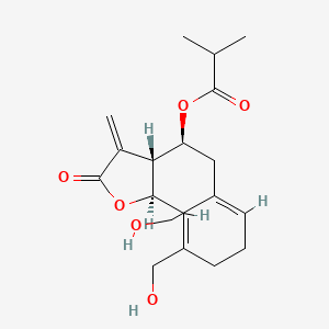 molecular formula C19H26O6 B1234716 阿魏酸内酯 CAS No. 41929-10-6