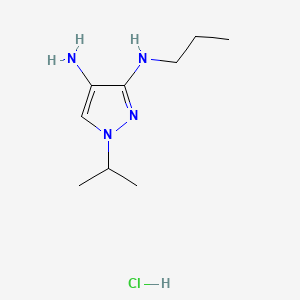 molecular formula C9H19ClN4 B12347258 1-isopropyl-N~3~-propyl-1H-pyrazole-3,4-diamine CAS No. 1431965-06-8