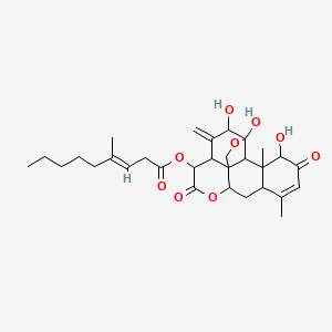molecular formula C30H40O9 B1234735 Picrasa-3,16-dione, 11,20-epoxy-1,11,12-trihydroxy-15-[(4-methyl-1-oxo-3-nonenyl)oxy]-, [1beta,11beta,12alpha,15.beta(E)]- 