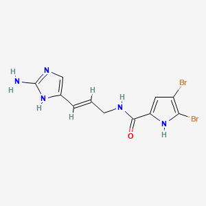 molecular formula C11H11Br2N5O B1234803 Oroidin CAS No. 34649-22-4